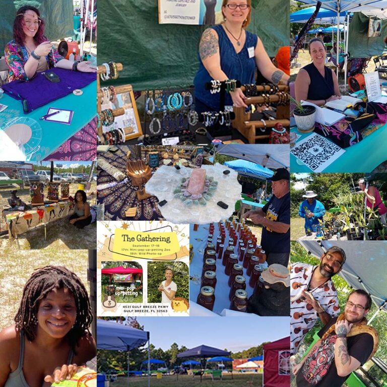 Vendor Info & Applications The Market in Midway